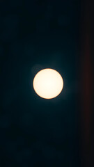 Wall Mural - Luminous Orb Pulsing in Grainy Space vertical
