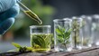 © Farah - Scientist carefully extracts natural essence from vibrant green herbs in laboratory beakers for organic product development