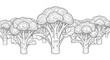 © Hammam - fresh broccoli, vegetable, vegan food, healthy diet, raw broccoli, green food, organic, drawing, illustration, line art