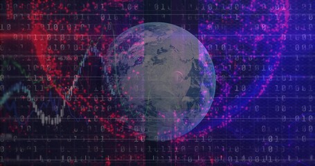 Wall Mural - rotating earth globe showing data streams in tech grid, with binary code and red clusters