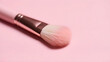 © Dwi - Delicate blush brush resting on a serene powder pink backdrop providing a soft minimalist feel