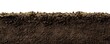 © GOS - Layered brown soil with faint green grass, exposed against a white background, showcasing the earth's composition
