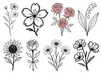 Wall Mural - png elegant floral sketch collection, element set on transparent background