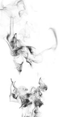 Wall Mural - fluid smoke wisps flow on white background loop