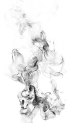 Wall Mural - fluid smoke wisps flow on white background loop