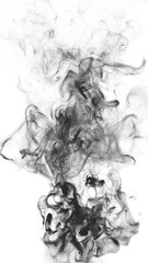 Wall Mural - looped smoke wisps rising on white background