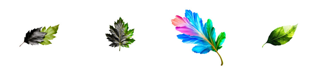 Wall Mural - Group of four botanical leaves with varied textures and vibrant colors on transparent background, cut out