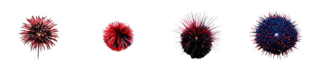 Wall Mural - Four distinct pyrotechnic bursts, each on a transparent background, cut out