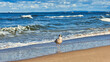 © Enrico Obergefäll - Möve am Meer , Ostsee , Erholung , Urlaub , Ferien , Strand , Blauer Himmel , Sand , Entspannung , Relaxen , Genießen , Reisen , Tourismus