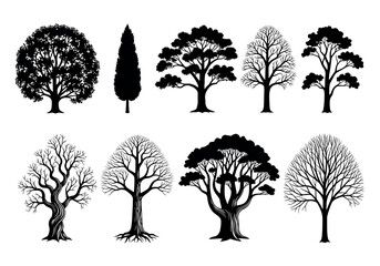 collection of diverse tree silhouettes diverse tree species nature elements organic forms woodland s
