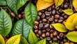 © Chavankorn - Roasted coffee beans nestled amongst vibrant green leaves,   illustration,  aroma