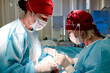 © Georgii - Two surgeons performing a procedure in a sterile operating room environment