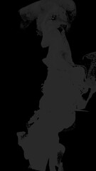 Wall Mural - dark gray wispy smoke flow loop on alpha transparent background
