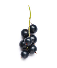 Wall Mural - fresh black currants on white background