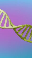 Wall Mural - animation of dna strand spinning on blue to pink background
