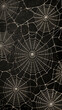 © photchara - A spider web black background intricate pattern delicate natural geometric halloween spooky closeup texture fragile detailed eerie symmetrical thin