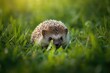 © The 2R Artificiality - A timid hedgehog concealed within the greenery