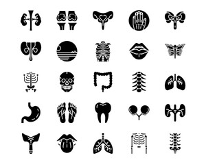 Wall Mural - human anatomy line vector icons