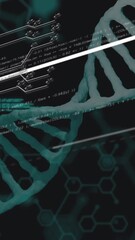 Wall Mural - animation of data processing with dna strand over connections