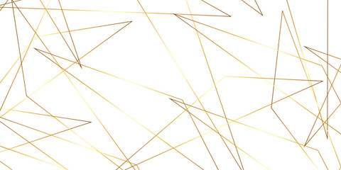 Wall Mural - Triangular 3d, modern background Modern geometrical dynamic and seamless abstract white background. Random chaotic lines abstract geometric pattern. .graphic background dots with connections for your