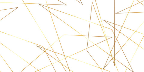 Wall Mural - Triangular 3d, modern background Modern geometrical dynamic and seamless abstract white background. Random chaotic lines abstract geometric pattern. .graphic background dots with connections for your