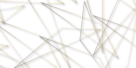 Wall Mural - Triangular 3d, modern background Modern geometrical dynamic and seamless abstract white background. Random chaotic lines abstract geometric pattern. .graphic background dots with connections for your