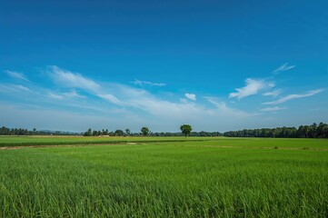 the expansive azure sky created a stunning background while the viewer admired the tranquil beauty o