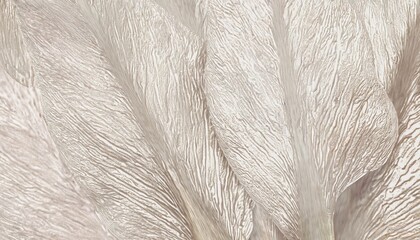 Wall Mural - delicate ivory leaf veins with soft organic texture and flowing lines creating abstract botanical background for wallpaper or editorial design