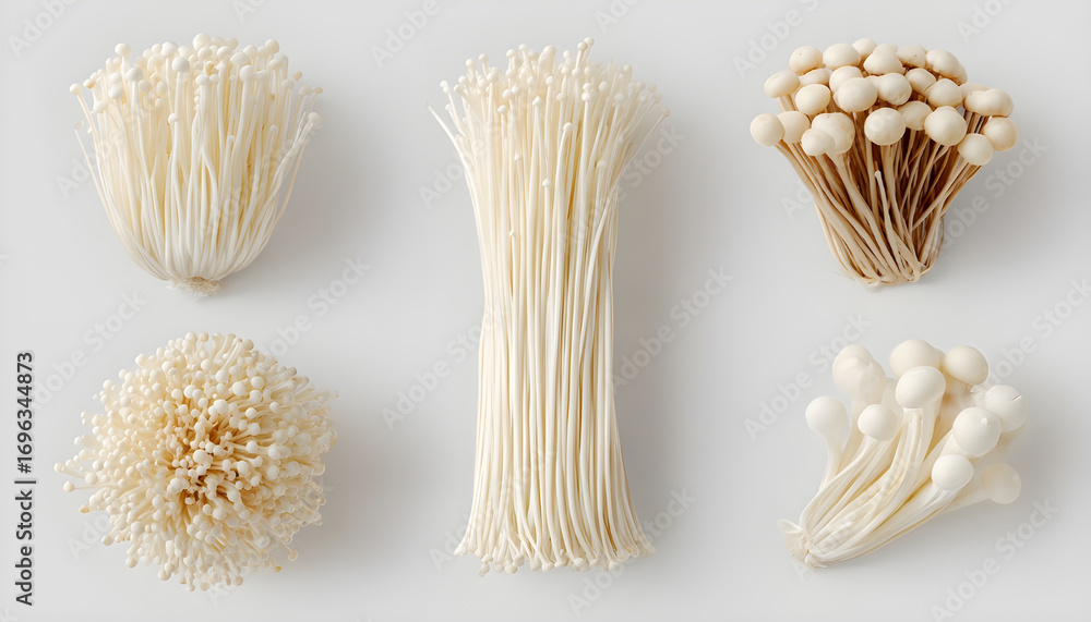 Pack Enoki Set in Different Poses Against Transparent Background for ...