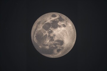 Wall Mural - HD Picture of the Lunar Surface