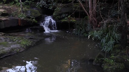Canvas Print - small waterfall cascade flowing into the creek after rainy day.