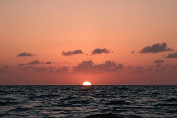 Wall Mural - sunset over the sea with a few soft clouds in a pale pink sky, sun dipping below the horizon, ample 
