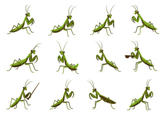 Twelve green cartoon praying mantises are arranged in a grid on a white background