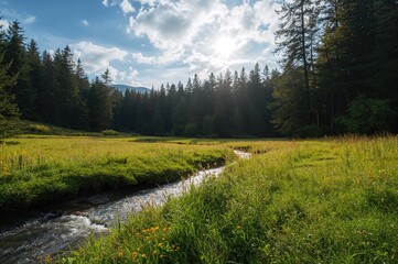 Wall Mural - stunning summertime scenery featuring fields, woods, and open sky