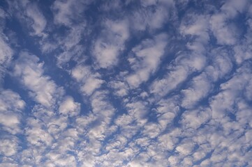 Wall Mural - Sky painted blue with scattered clouds