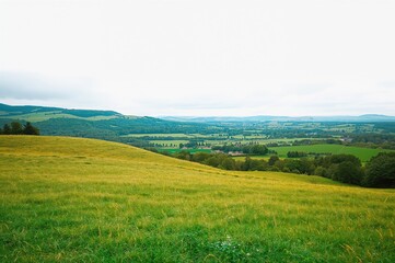 Wall Mural - Vector illustration of countryside hills with grassy fields and forests under a clear sky