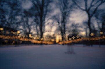 Wall Mural - out-of-focus photo of a winter park at dusk serving as the backdrop
