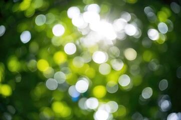 Wall Mural - Green bokeh orb with natural lighting and leafy texture