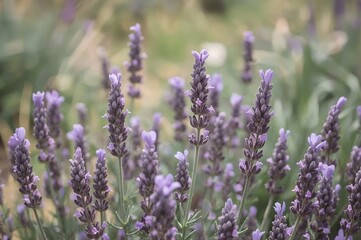 Wall Mural - Spring garden adorned with delicate lavender blooms against a gentle natural background