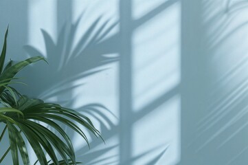 Wall Mural - simple light blue backdrop for showcasing products with shadow of tropical leaves and window curtain