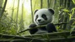 © Solaz - Adorable Baby Panda Playing in a Lush Bamboo Forest Environment