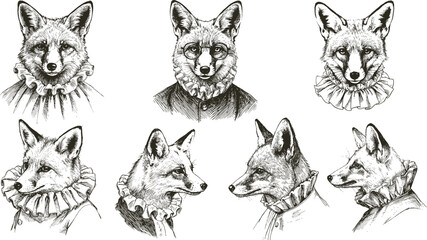Naklejka na meble Vector vintage collection of a gentleman fox heads. Set of beautiful sketches of clever cunning animal in retro black and white style.