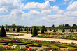 garden in the park of versailles