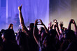 © DeShaun Craddock - Fans with hands in the air at a music festival
