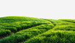 © Chalita - Lush green grassy hill under a soft white sky with ample copy space for text and design elements
