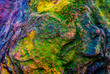 © tanmoy - Detailed close-up of moss and lichen thriving on a weathered wall, floor, and rock, revealing natural textures with earthy green tones. Ideal for nature, organic growth, texture, and environmental