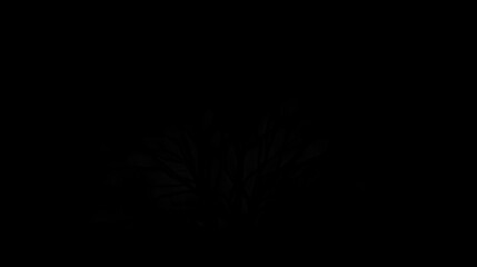 Silhouette of a bare tree against a dark background, showcasing its intricate branch structure and texture, symbolizing dormancy and resilience.