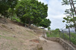Peaceful pathway lined with trees and natural landscapes at Parque Mirador Independencia in Guadalajara, Jalisco