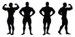 © rayhan039 - Four Male Bodybuilder Silhouettes Flexing Muscles Posing On White Background bodybuilding