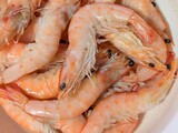 160_f_1698126080_8sinbopuwhdwvibhkzkk0psraqkg35ft